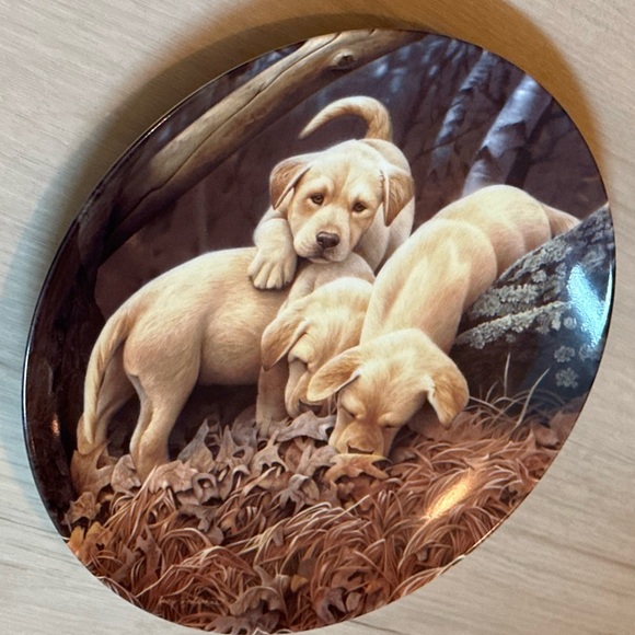 Limited Edition Bradford Exchange Collector Plate - Labrador Retriever Puppies - Picture 12 of 12